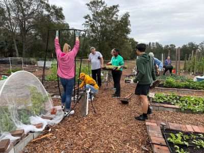 Volunteers working together in a community garden, planting seedlings and building structures to support sustainable urban farming.