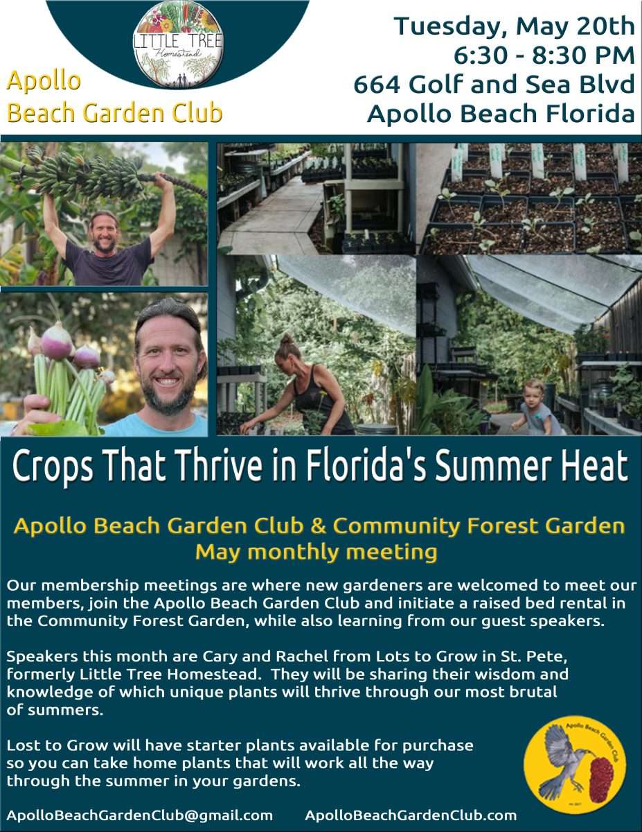 2025 May Monthly Meeting Flyer Copy